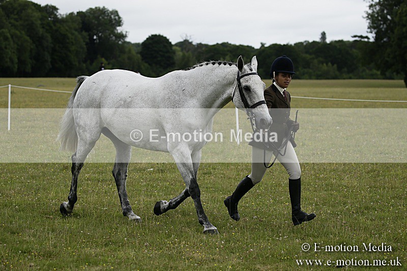 BVR160717-225 - Ring 2 BVRC Show 16/07/17