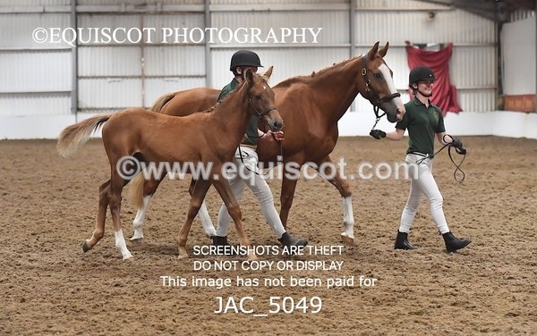 JAC_5049 - 9 Zinzipan