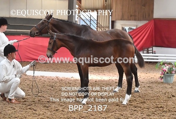 BPP_2187 - AFTERNOON 12.30 - 3.30PM