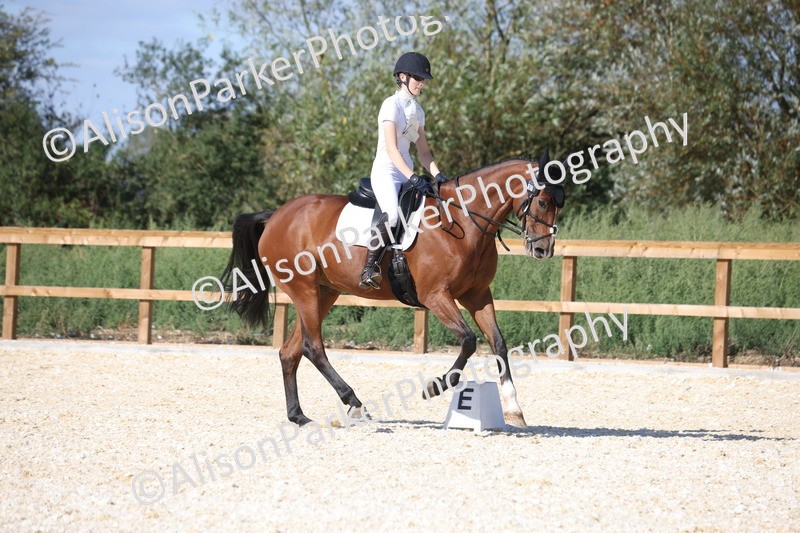 20260905-1507 - Class 5 - Novice 2