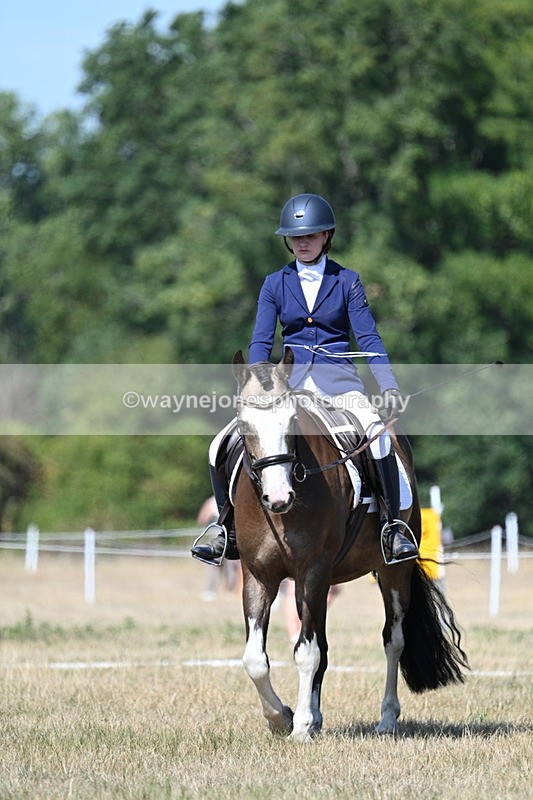 WJ7_0129 - Time 11:03 to 11:28