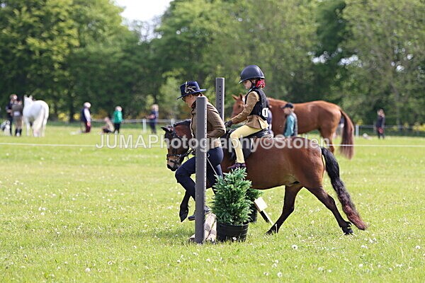IMG_2160 - Working Hunter