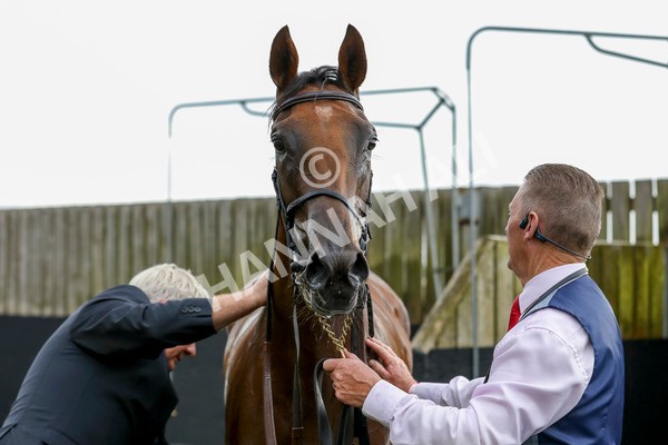 220824-Race 4-Content-7780 - Race 4 3.35pm Pertemps Network Yorkshire Oaks