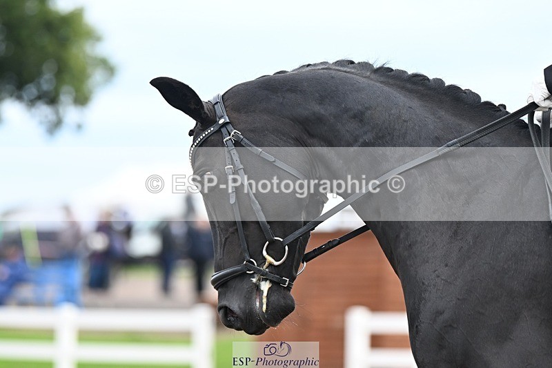 250907-111850-07184 - 003-Helen.JamesDecadent