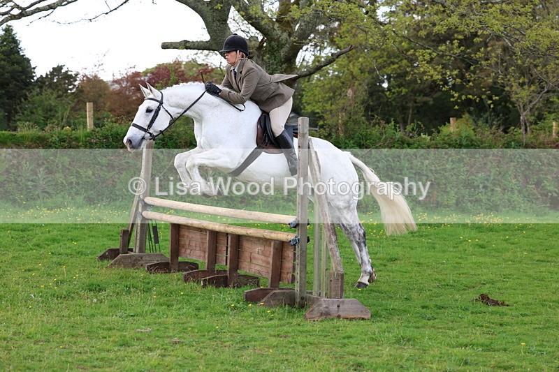 3E7A2561 - Classes 30 and 31: 80cm Working Hunter