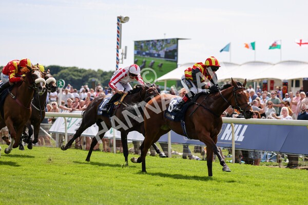 yr08072022r2-17 - Race 2 2.40pm William Hill Summer Stakes