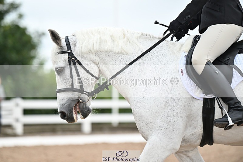 250705-092140-00690 - Intro1 Sections BDI1SEN, BD I1JNR 09.00 to 09.48