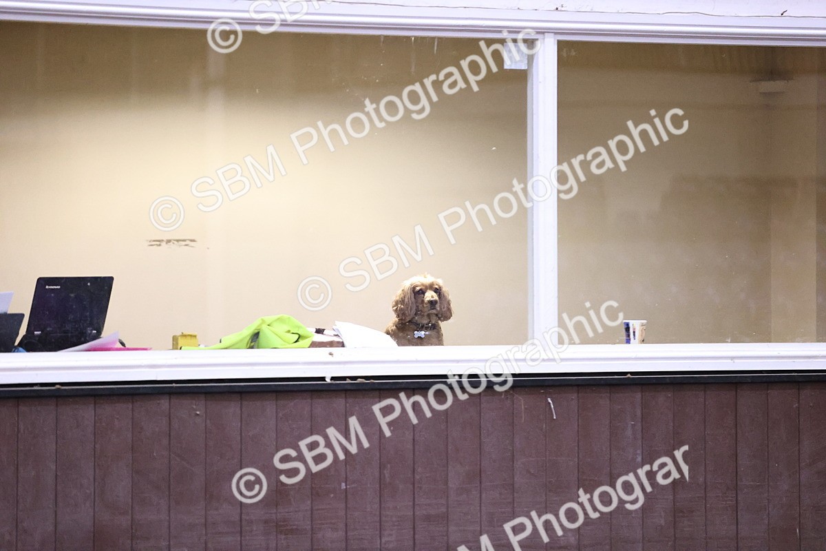 SBM_010078 - Class 24 - Equine Star Championship Qualifier 1.10m