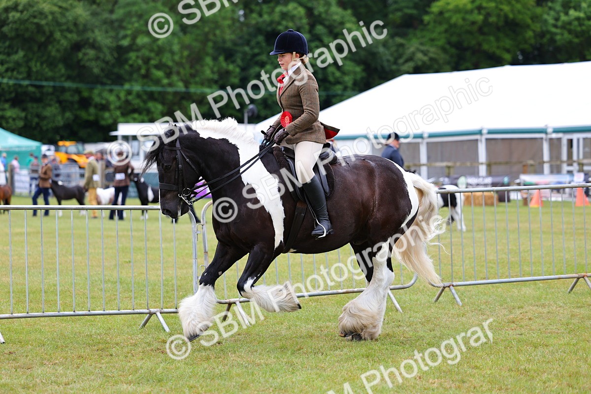 SBM_02647 - Class 9-11 Side Saddle including LIHS Rising Star Ladies Show Horse