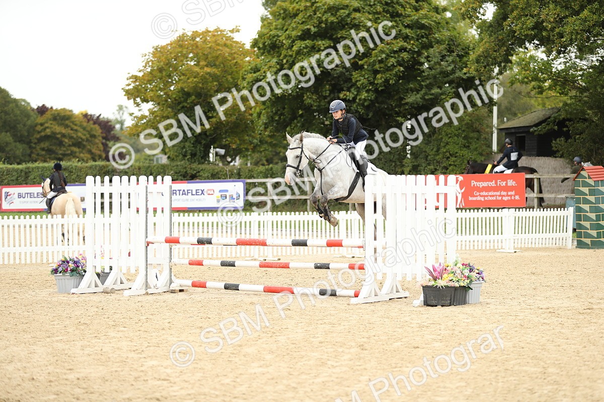 SBM_63128 - Supreme championship 75cm 80cm