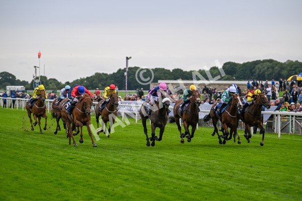 120724-Race 2-Flora Of Bermuda-5811 - Race 2 2.40pm William Hill Summer Stakes