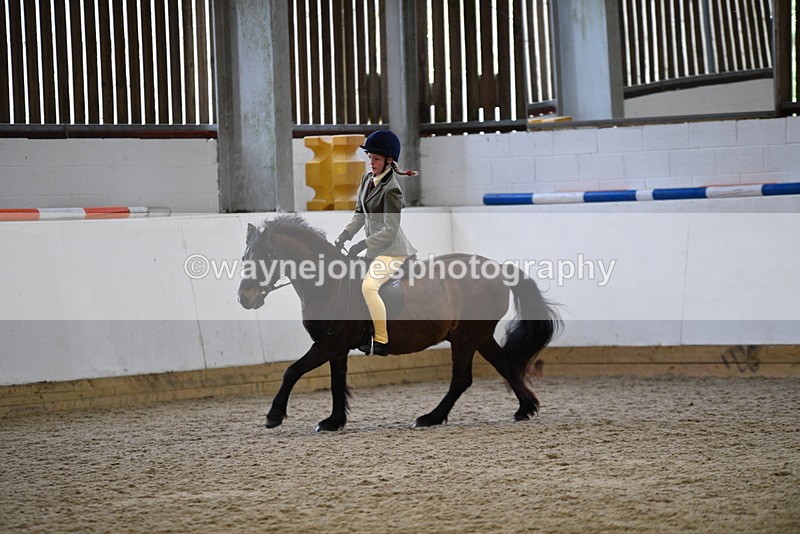 WJ5_6925 - Class 10 Childs Pony