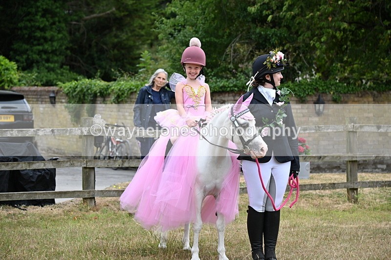 WJ6_9168 - Class 11 Fancy Dress