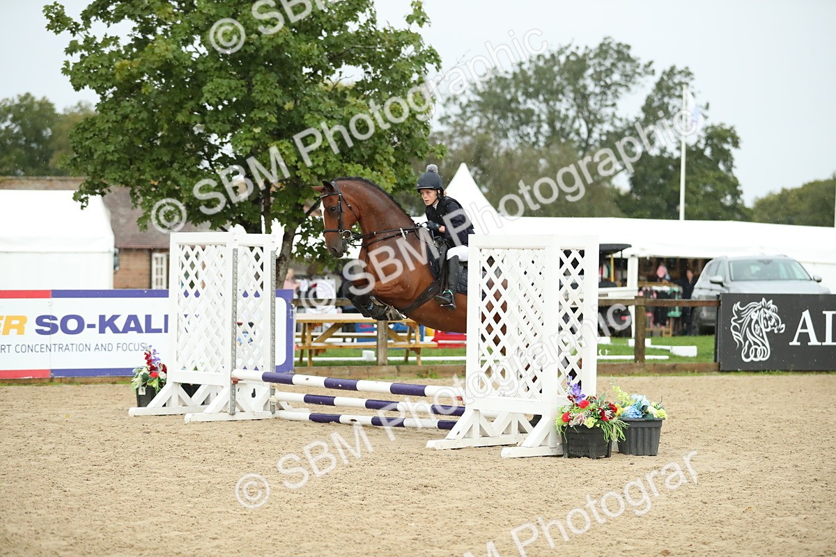 SBM_34306 - J60 Clear Round 50cm