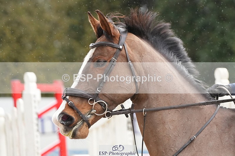 260301A-133950-02243 - NSEA 100-105cm