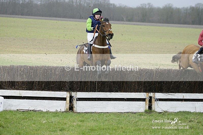 PtP 200222 316 - Countryside Alliance PtP Badbury Rings 20/02/22