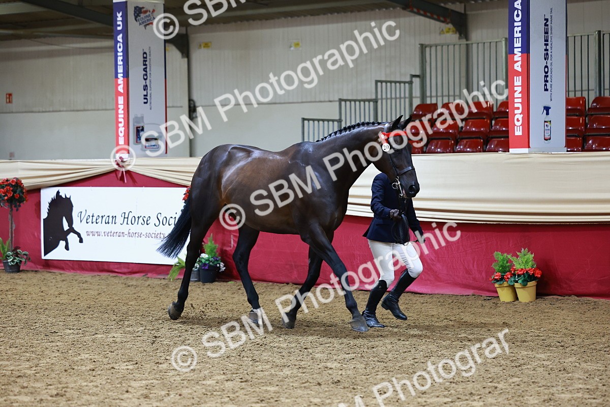 SBM_22106 - Class 902 - Supreme Final - IH Diamond