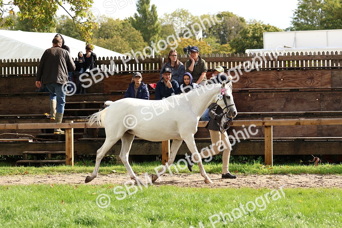 SBM_39424 - S24 - Young Veteran In Hand