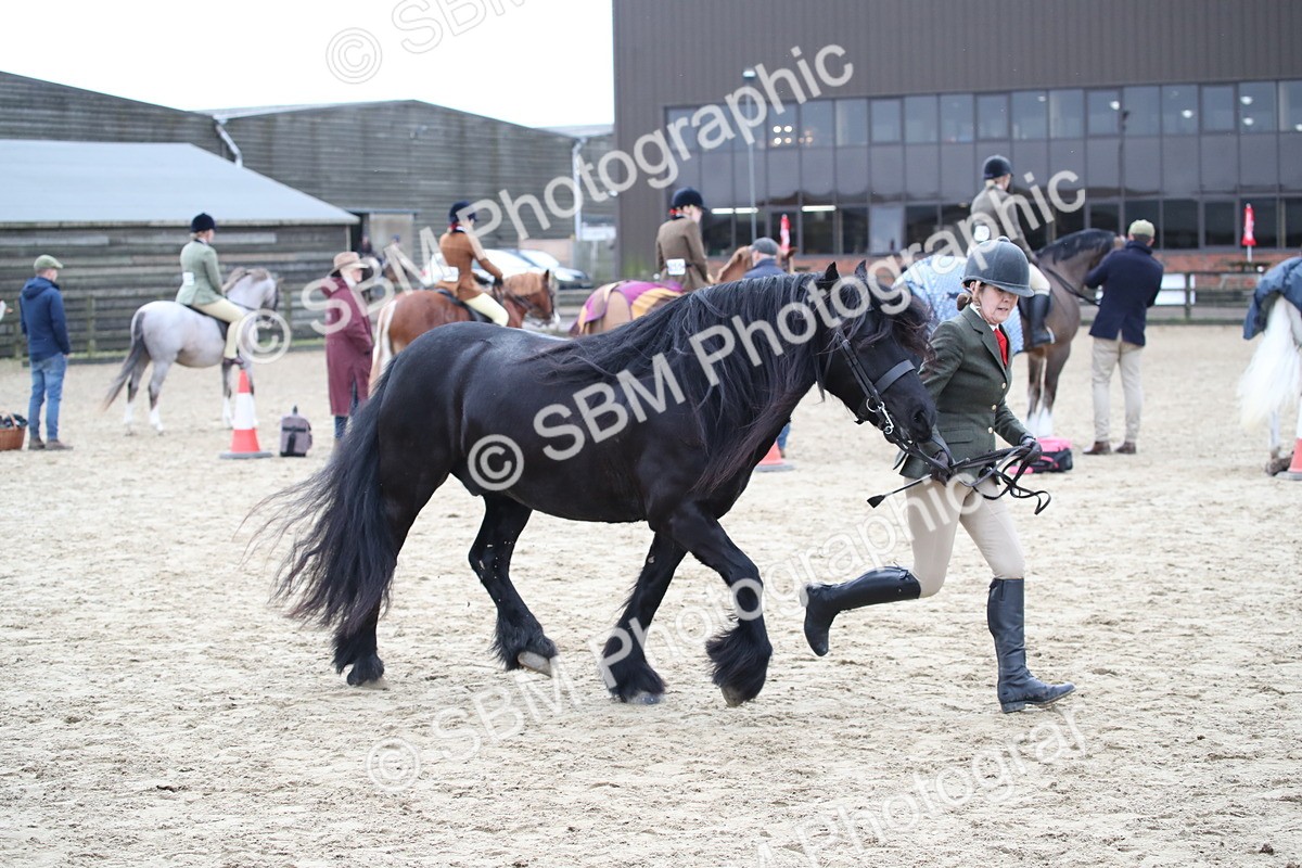 SBM_007255 - Class 10-13 - RIHS Small Large Breeds