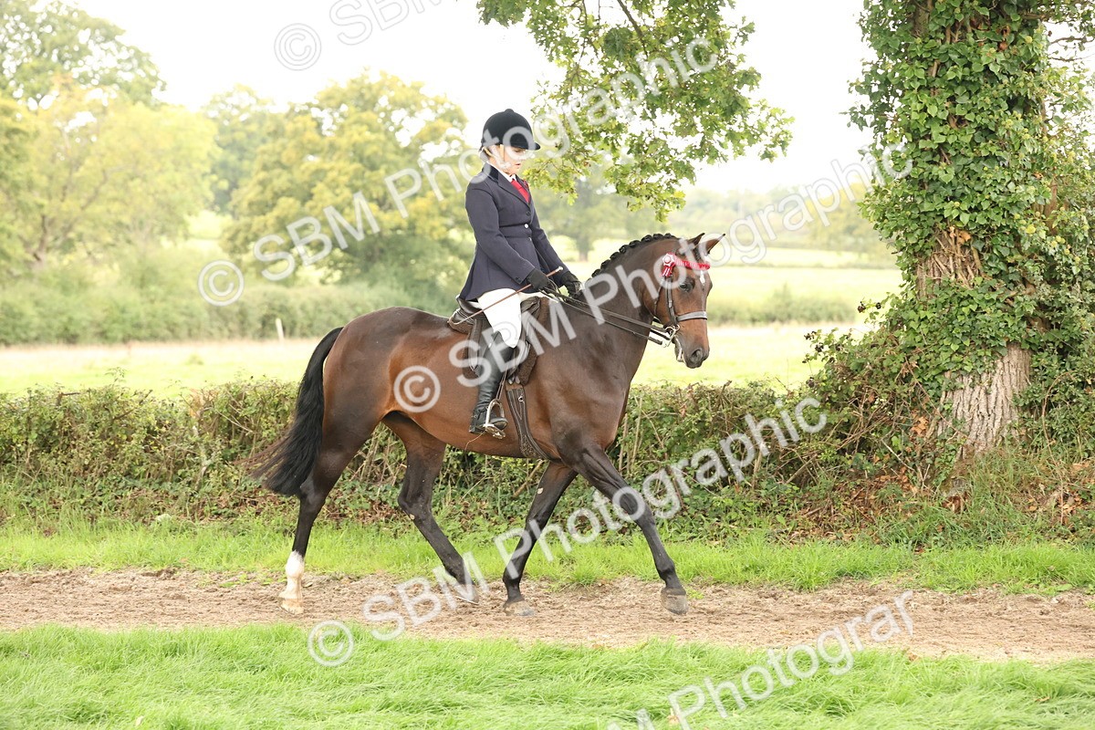 SBM_64155 - S65 - Riding Horse & Hack & Thoroughbred Ridden