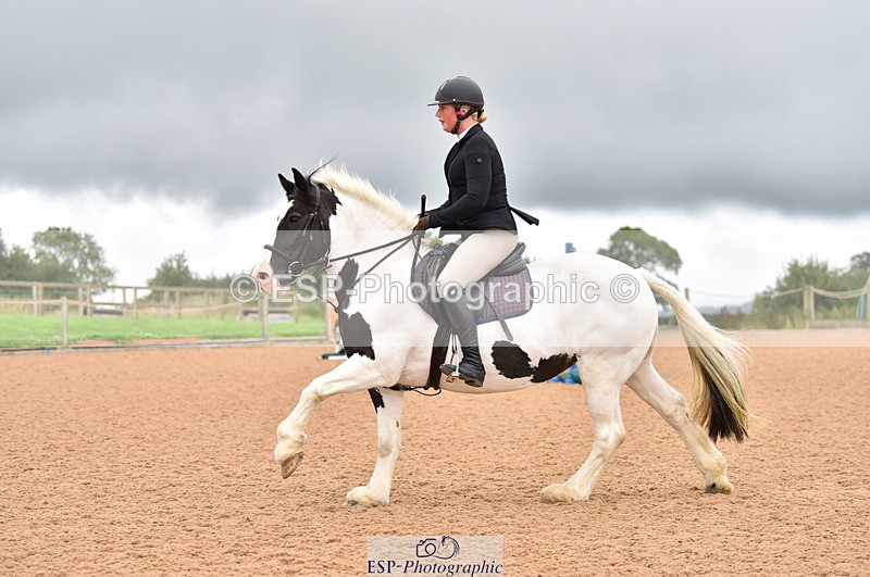 230808A-170908-00274 - 80cm