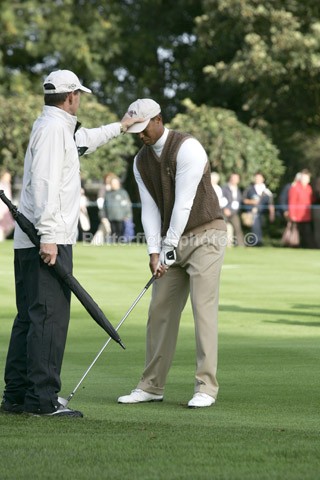 A tiger in training - Sporting moments