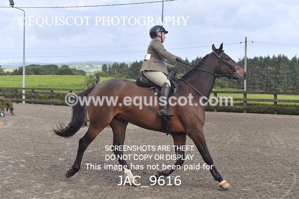 JAC_9616 - CLASS 1 Nursery Novice Working Hunter (0.50m)