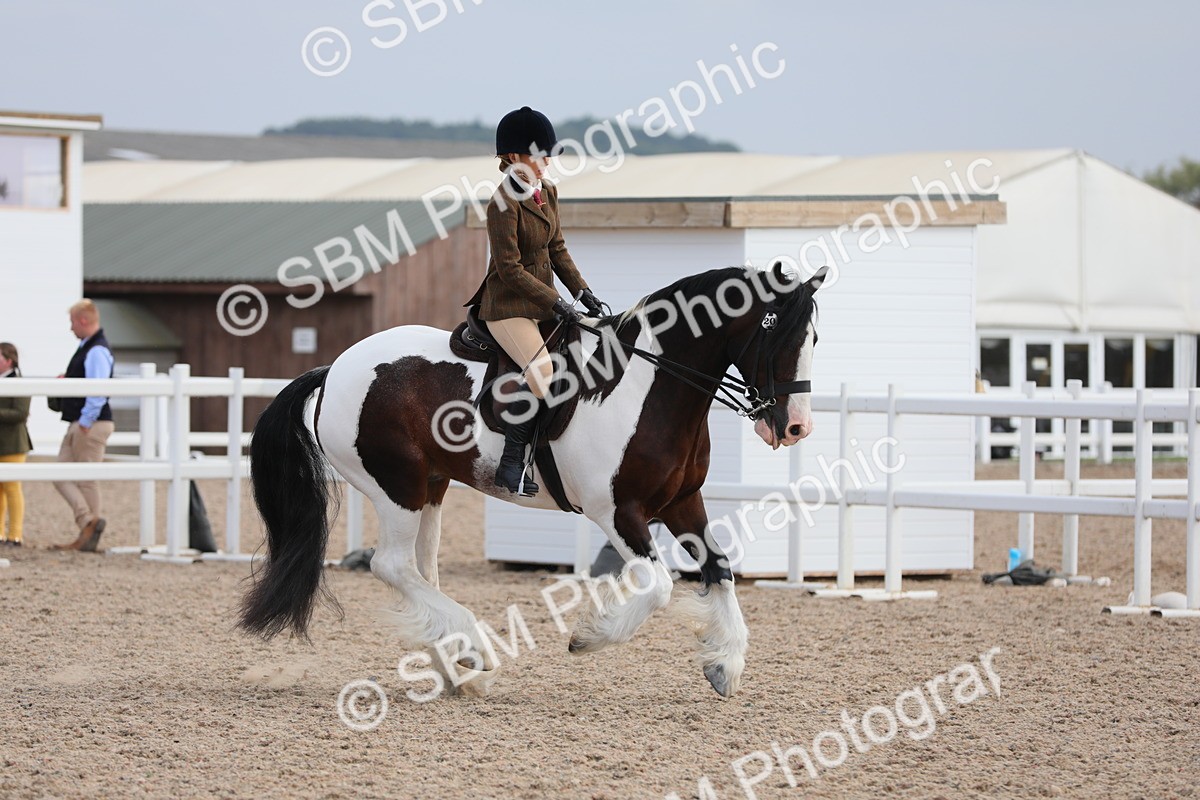 SBM_17767 - Class 315 Best Horse/Rider Combination