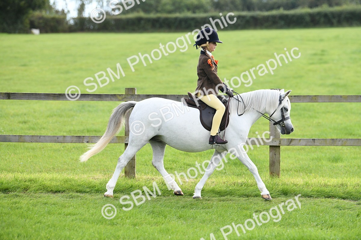 SBM_46715 - S12 - Family Horse & Pony