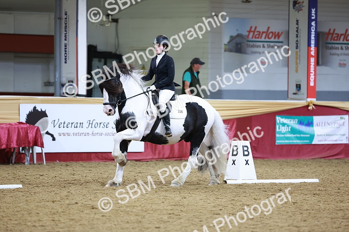SBM_09964 - Class 61 - Dressage to Music