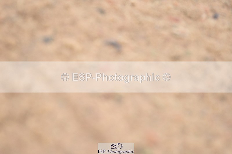 230813A-092034-11186 - Cls 47 National 1.30m