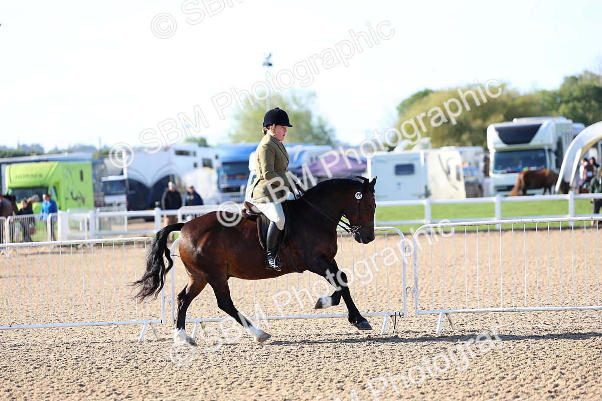 SBM_08773 - Class 302 - Ridden M&M - Large Breeds