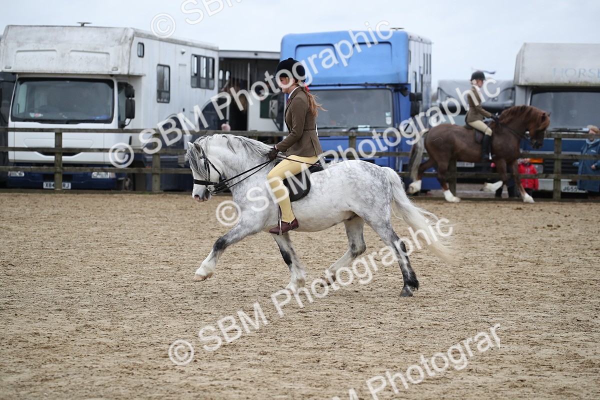 SBM_006376 - Class 10-13 - RIHS Small Large Breeds