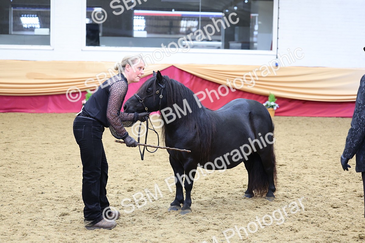 SBM_22864 - Class 903 - Supreme Final - IH Pre Vet