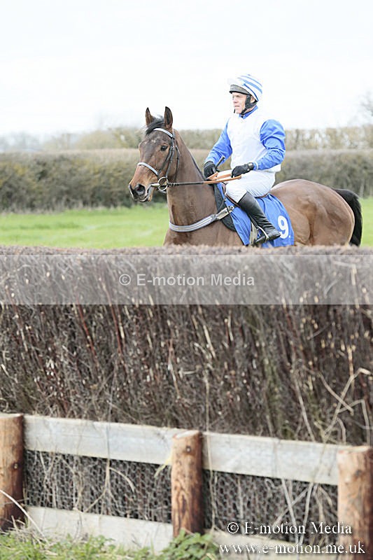 PtP 230319 50 - VWH Hunt Siddington Point-to-Point Racing 23/03/19