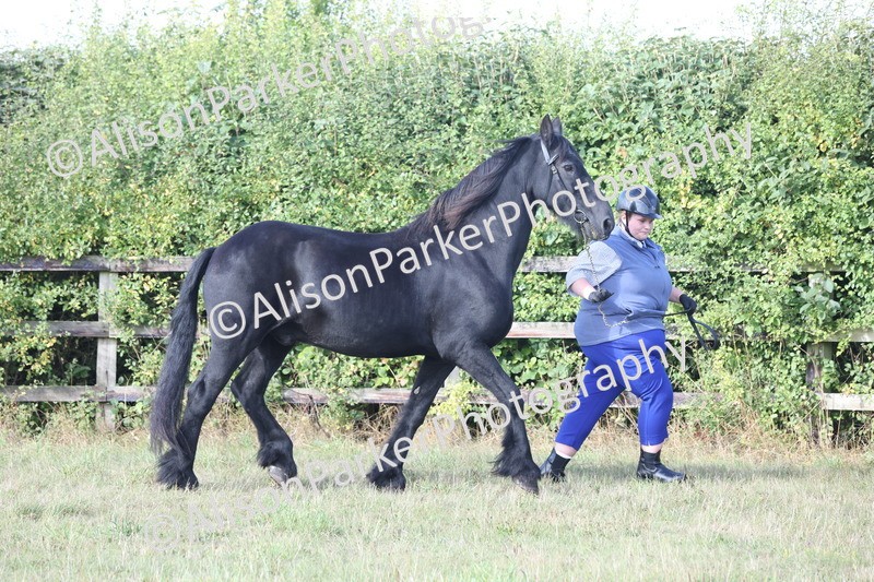 20250831-1340 - Class 21 - Inhand Open