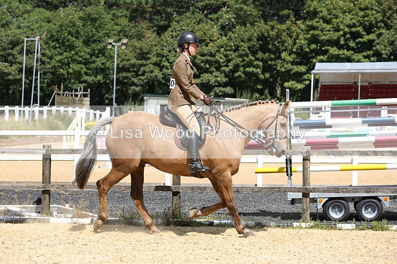 1X9A8817 - Class 19: Riding Club Horse