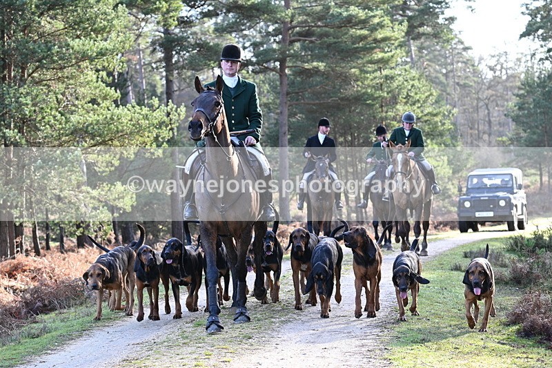 WJ7_7705 - Line 3 (no line 4 or 5)