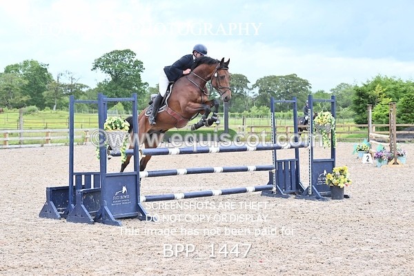BPP_1447 - CLASS 11 SAT Ariat Senior BritiNovice 2ND ROUND