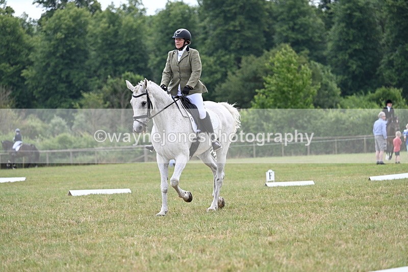 WJ7_5038 - Time 11:22 to 11:51