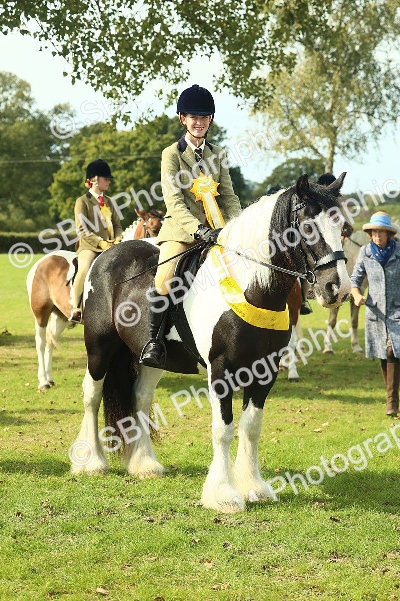 SBM_68971 - S58 - Mini Show Cob Ridden