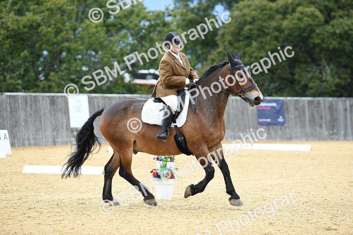 SBM_10043 - D15 Small Tour Championship Novice 24