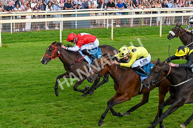 250726-Race 5-Rogue Jewel-1093 - Race 5 15.42pm Sky Bet Price Boosts EBF Fillies' Novice Stakes