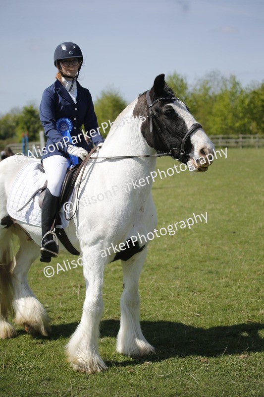 20250427-2362 - Class 13 - Novice Jumping 60cm