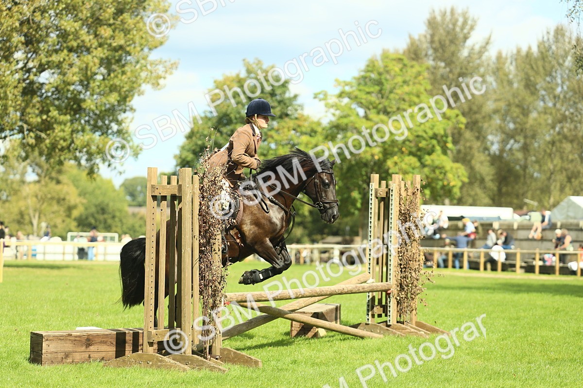 SBM_42863 - S30 - M&M Working hunter Pony