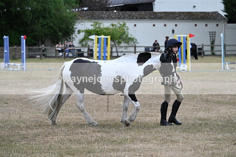 WJ7_8271 - Class 4 Prettiest Mare up to 14.2hh