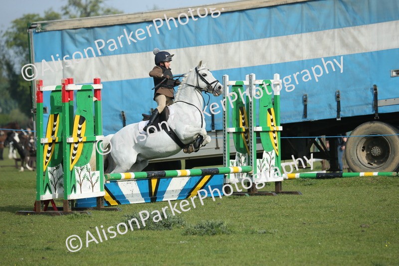 20260426-0123 - Class 13 - Rookie Jumping 50cm
