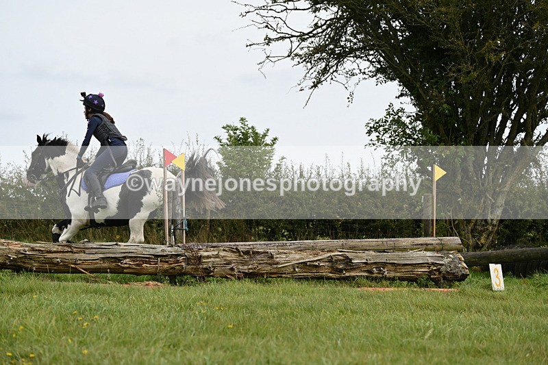 WJ6_9853 - Time 14:11 to 14:30