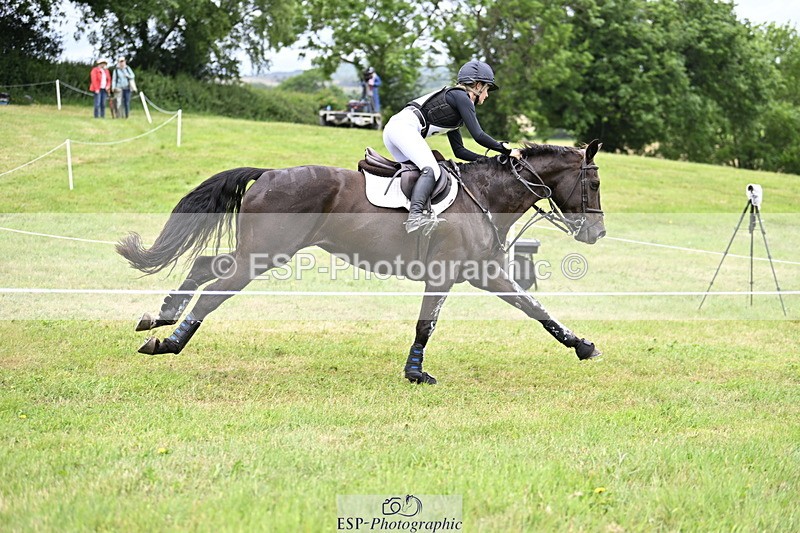 250524A-133953-10412 - B-379-Kelli.Frewin-HIDDEN.GOLD