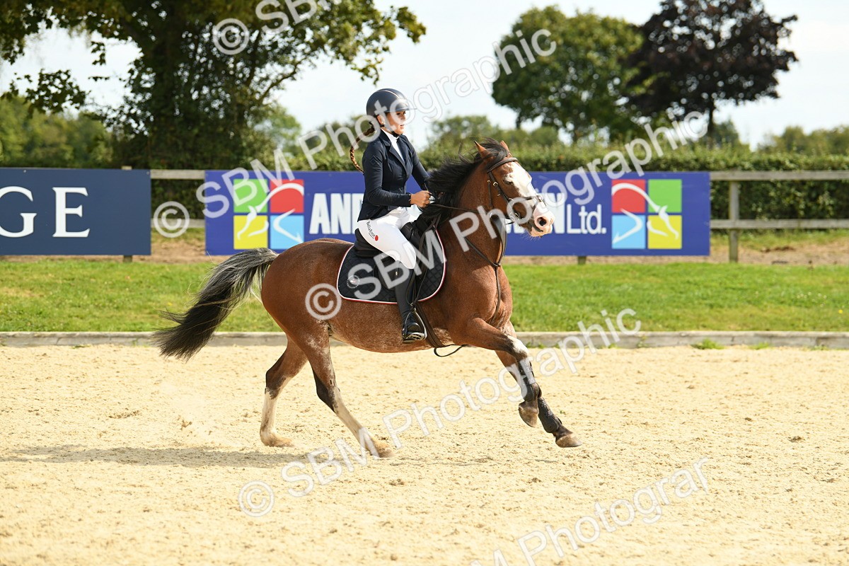 SBM_65026 - J48 - Pairs Jumping Open 70cm & 85cm